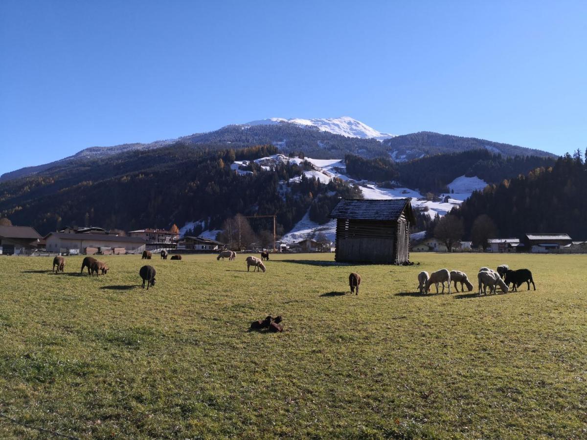 Alpen Chalet Bramberg Bramberg am Wildkogel Exterior photo